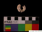 L_V23d3886 J4q245.1 U907 dM f 116